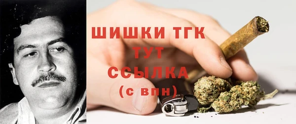 apvp Богданович